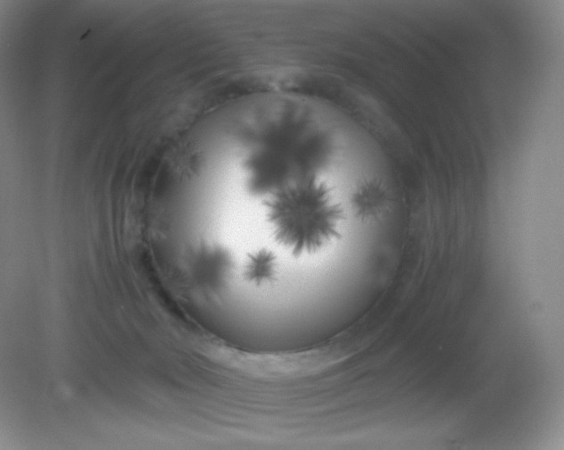 X0000082170030200702021738