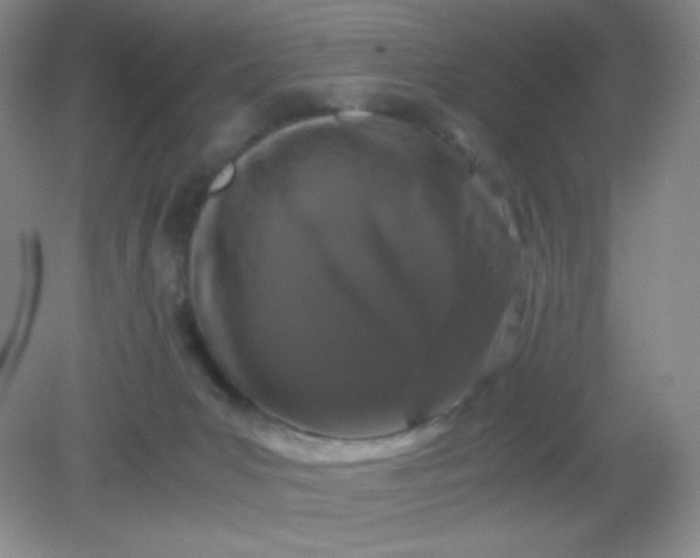 X0000082170031200702021738