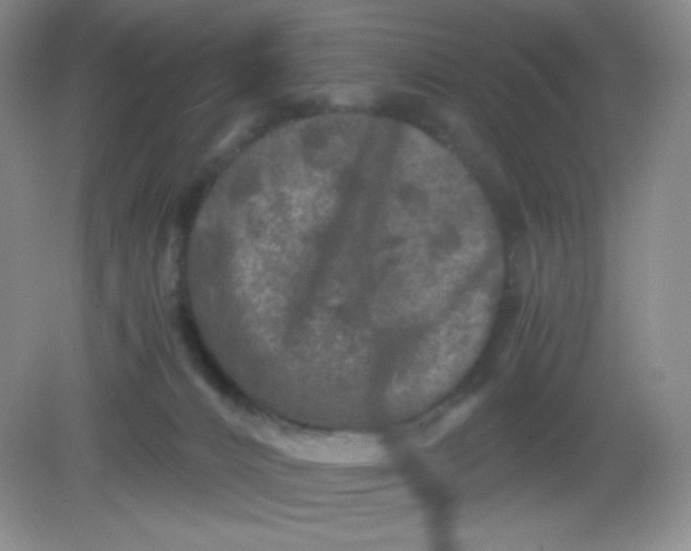 X0000082170032200702021738