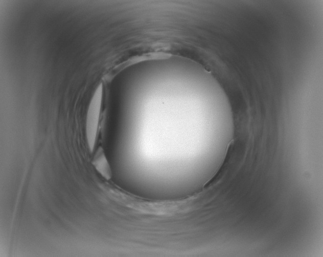 X0000082170033200702021738