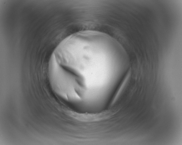 X0000082170034200702021738