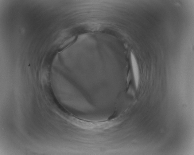 X0000082170035200702021738