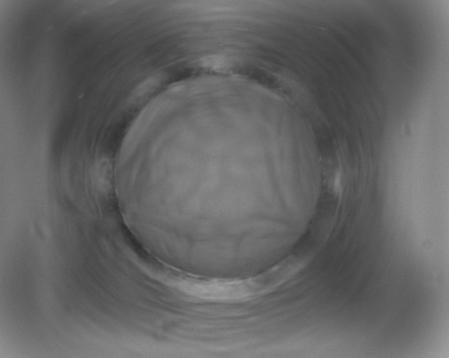 X0000082170036200702021738