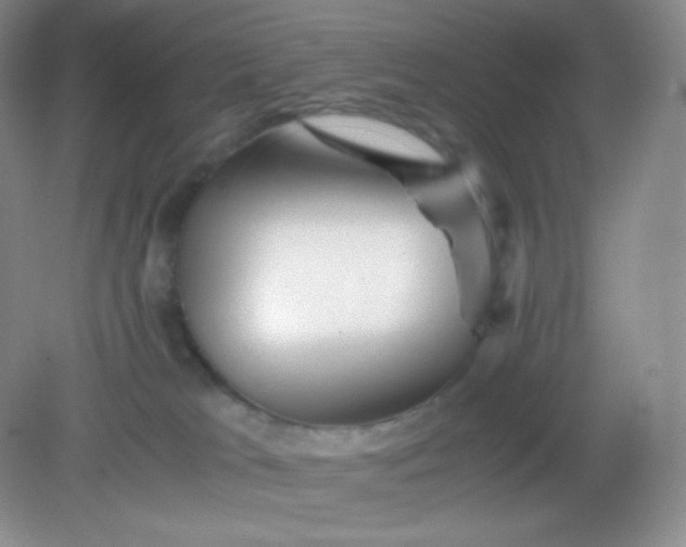 X0000082170037200702021738