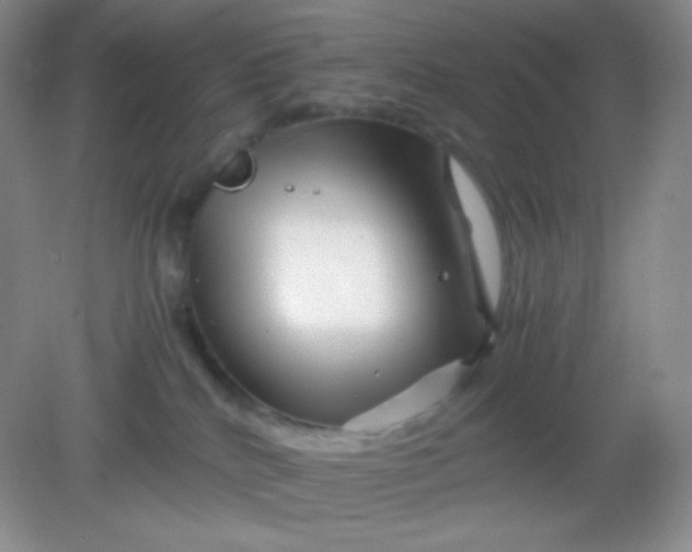 X0000082170040200702021738