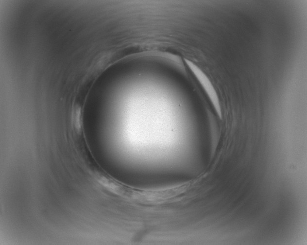 X0000082170041200702021738