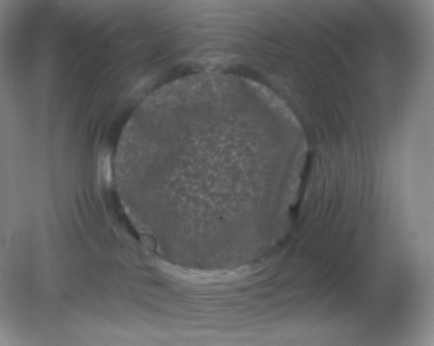 X0000082170042200702021738