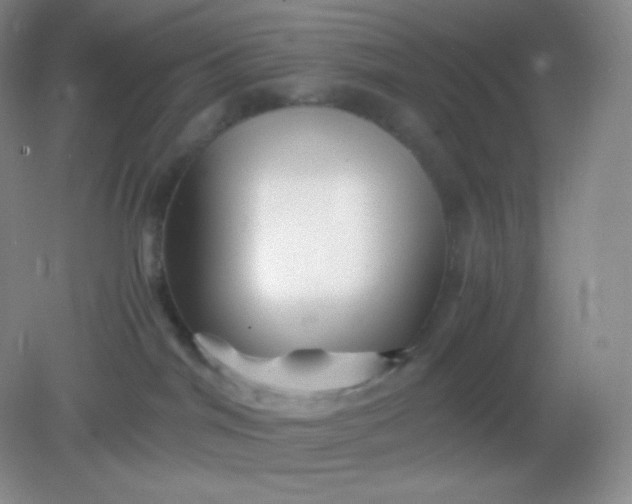 X0000082170044200702021738