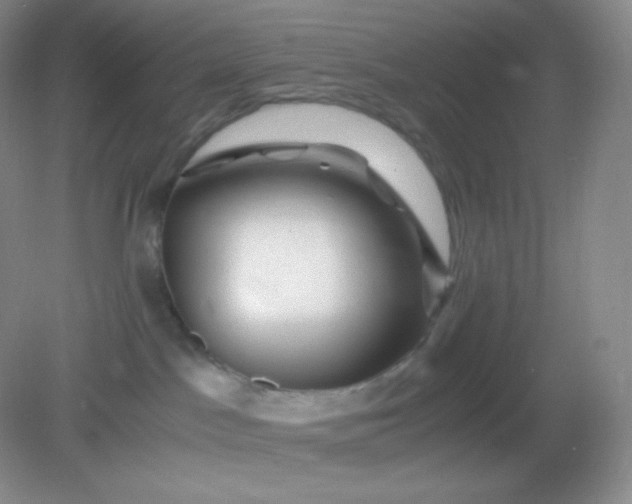 X0000082170045200702021738