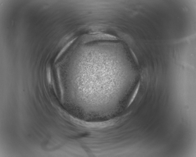 X0000082170046200702021738