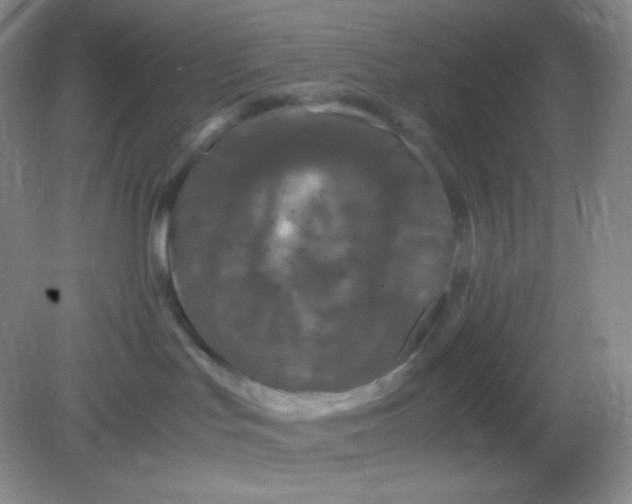 X0000082170047200702021738