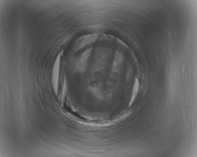 X0000082170048200702021738