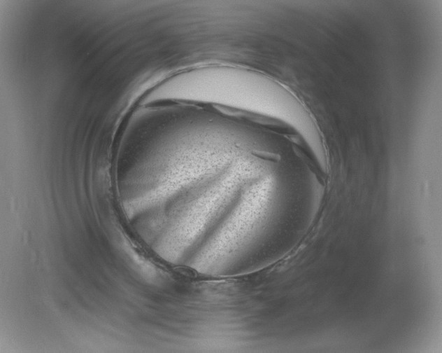 X0000082170050200702021737