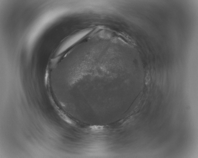 X0000082170052200702021737