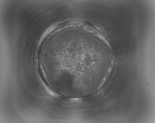 X0000082170053200702021737