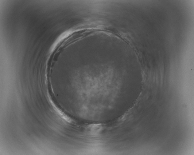 X0000082170054200702021737