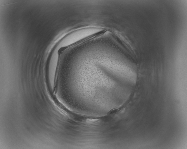 X0000082170055200702021737