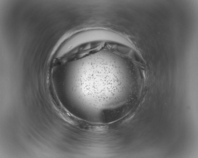 X0000082170056200702021737