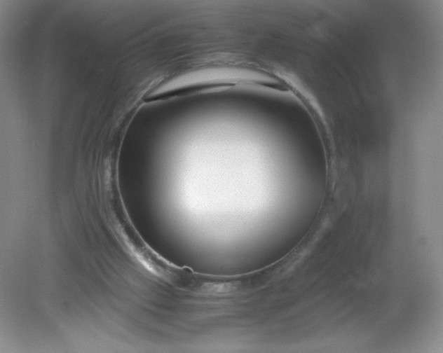 X0000082170057200702021737