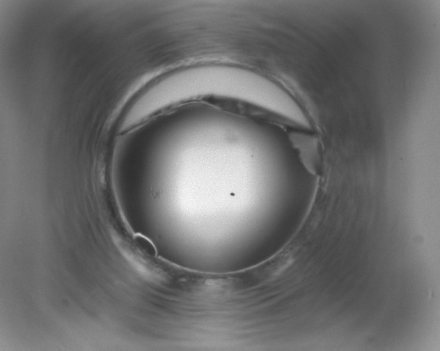 X0000082170060200702021737