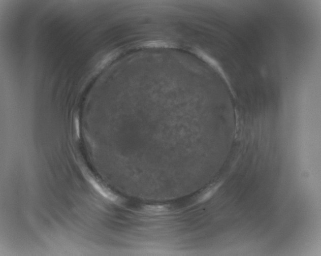 X0000082170061200702021737