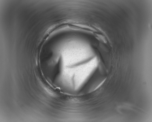 X0000082170062200702021737