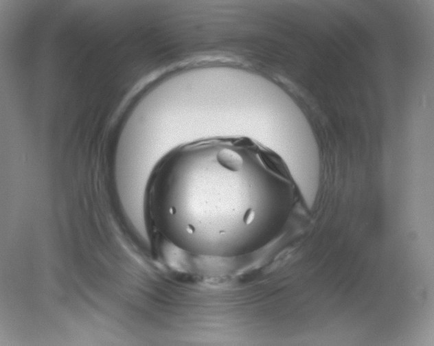 X0000082170064200702021737