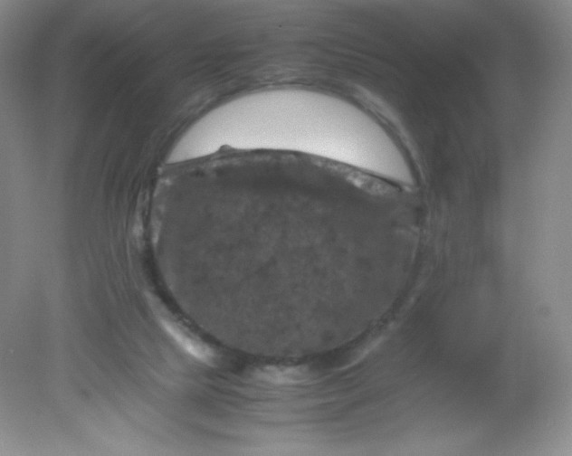 X0000082170065200702021737