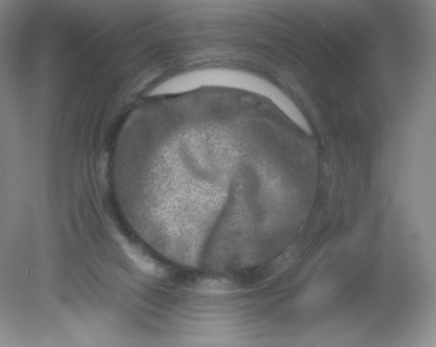 X0000082170066200702021737