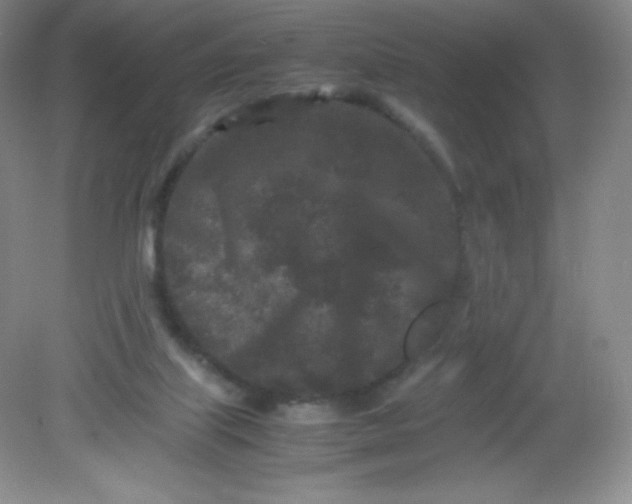 X0000082170067200702021737