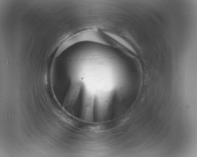 X0000082170068200702021737