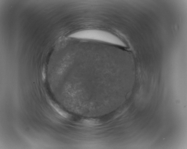 X0000082170069200702021737