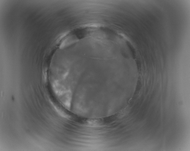 X0000082170070200702021737