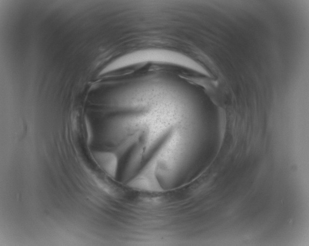 X0000082170071200702021737