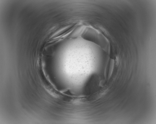 X0000082170072200702021737