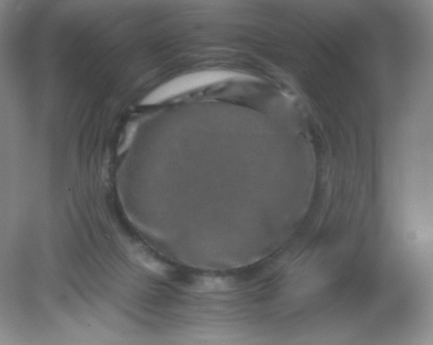 X0000082170073200702021737