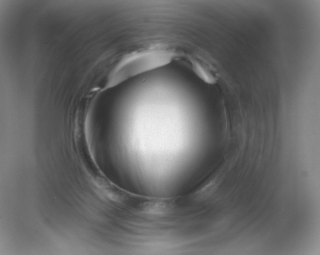 X0000082170074200702021737