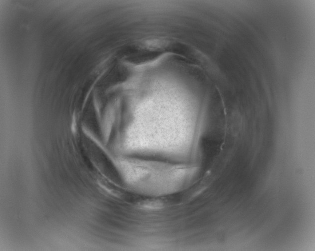 X0000082170075200702021737