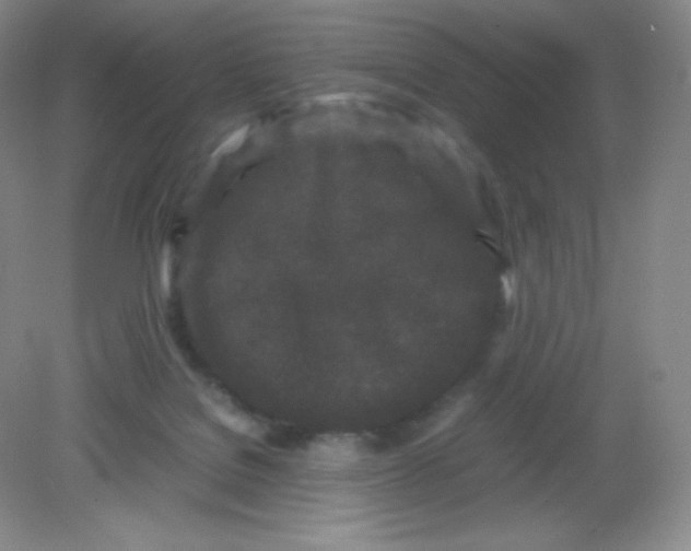 X0000082170076200702021737