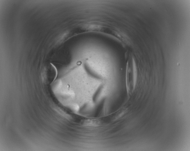 X0000082170077200702021737