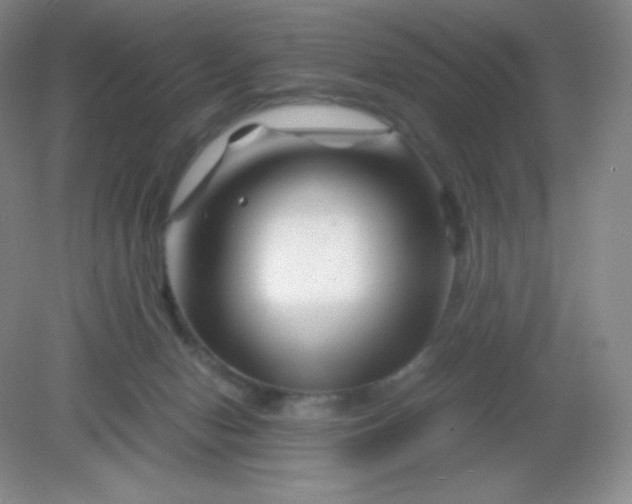 X0000082170078200702021737