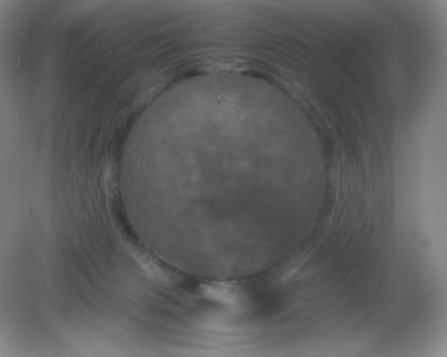 X0000082170079200702021737