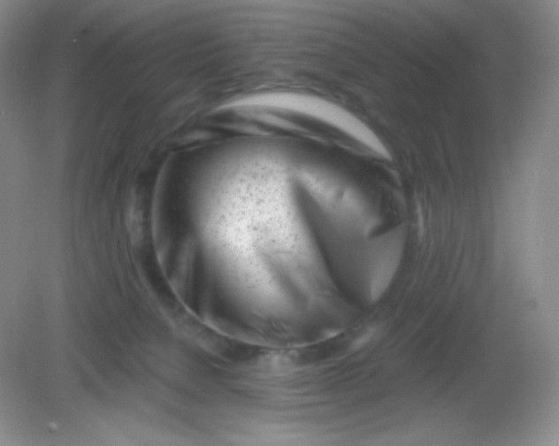 X0000082170080200702021737