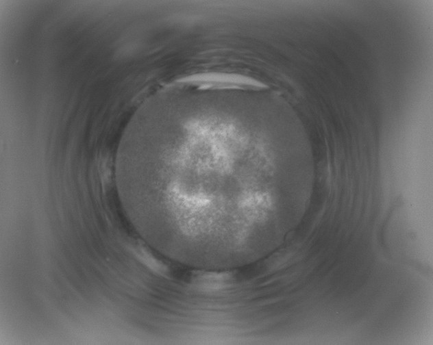 X0000082170081200702021737