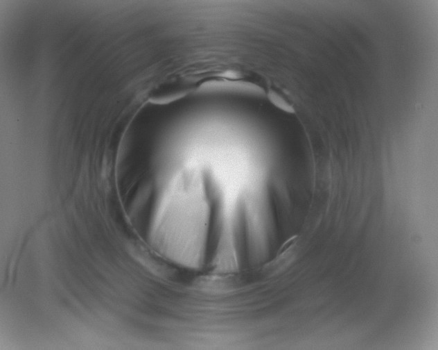 X0000082170082200702021737