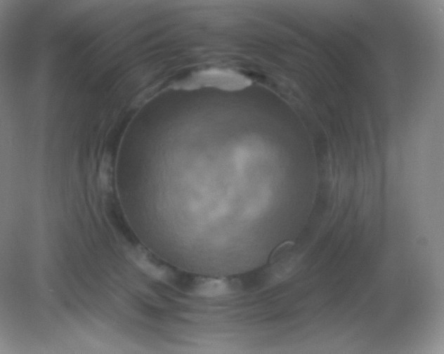 X0000082170083200702021737