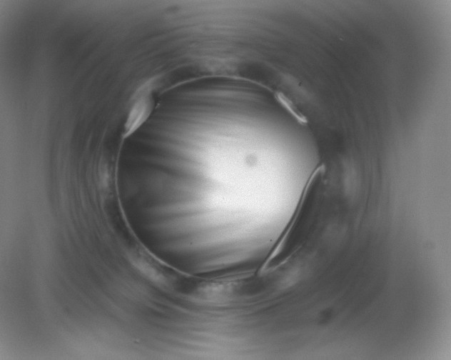 X0000082170084200702021737