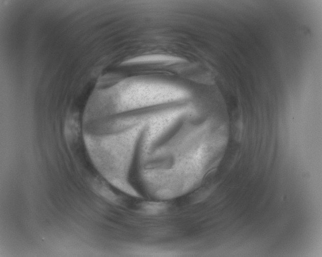 X0000082170085200702021737