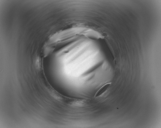 X0000082170086200702021737