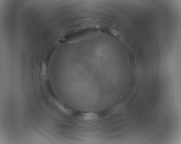 X0000082170087200702021738